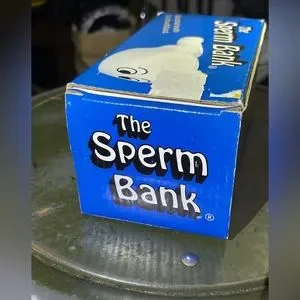 David L Page | Accents | The Sperm Bank Vintage Piggy Bank 984
